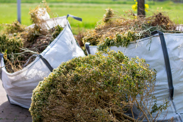 Algona, IA Junk Removal Services Pros