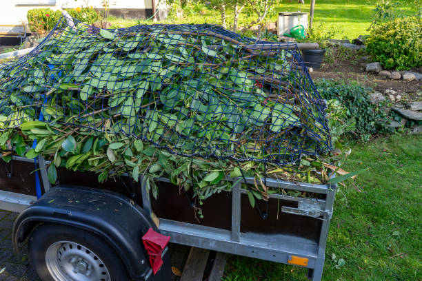 Best Scrap Metal Removal  in Algona, IA